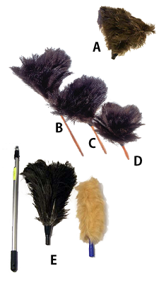 フェザーダスター featherduster